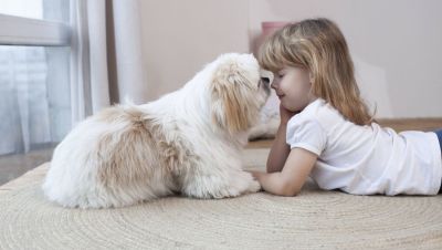 ペットのためのリフォーム！愛犬・愛猫と快適に暮らす実例をご紹介